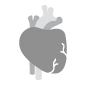 Cardiovascular & Thoracic Surgery